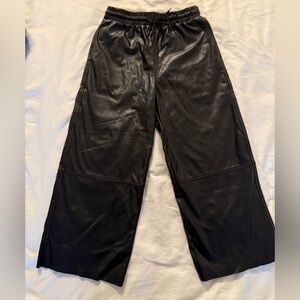 Sans Souci Faux Leather pants.